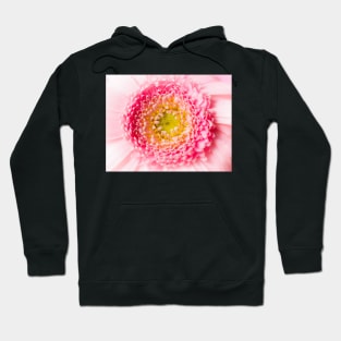 macro pink blossom Hoodie